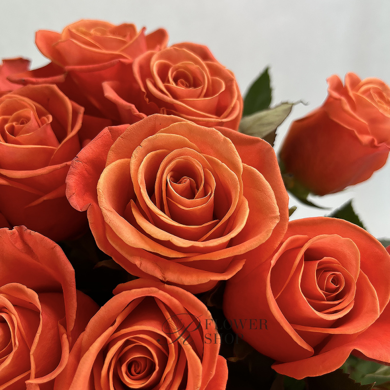 Букет из оранжевых роз «Лаконичность» 2