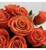 Букет из оранжевых роз «Лаконичность» 2