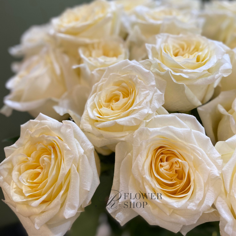 Монобукет из белых роз «Первый снег» 1