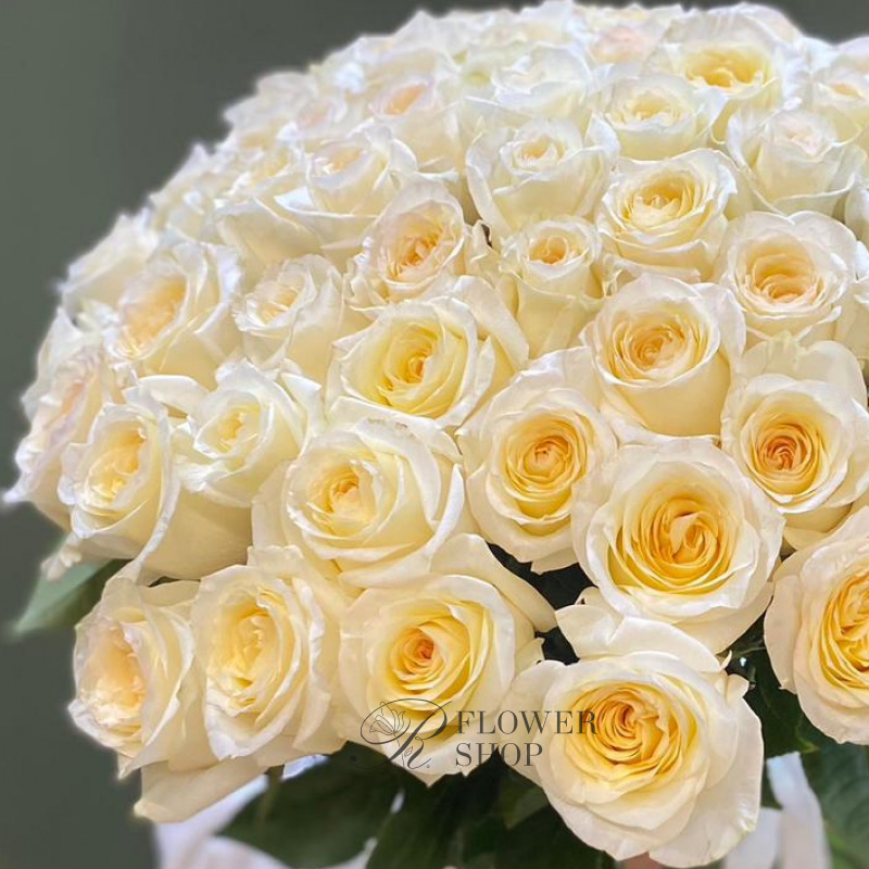 Нежность роз 1