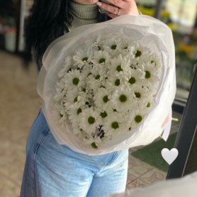 Букет из хризантем «Ноктюрн» от интернет-магазина «Romanov Flowers Shop» в Белово