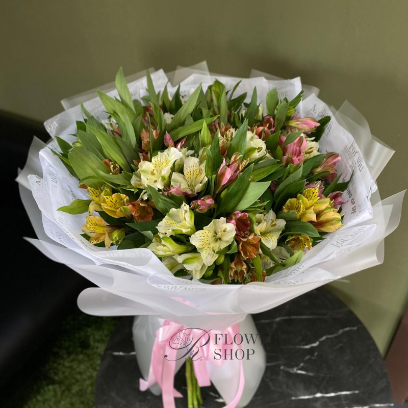 Сияние звёзд