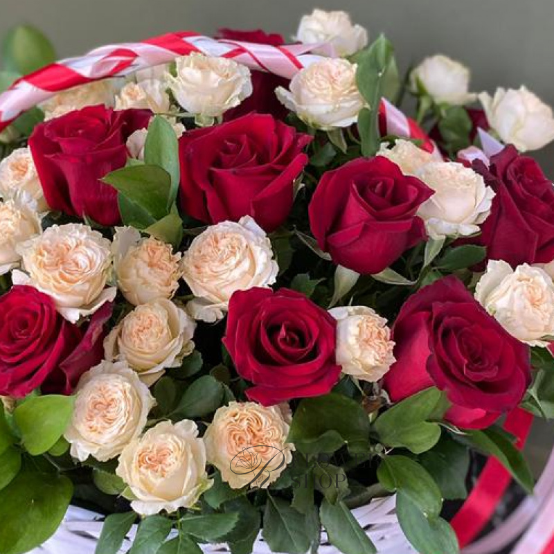 Счастливый миг 1