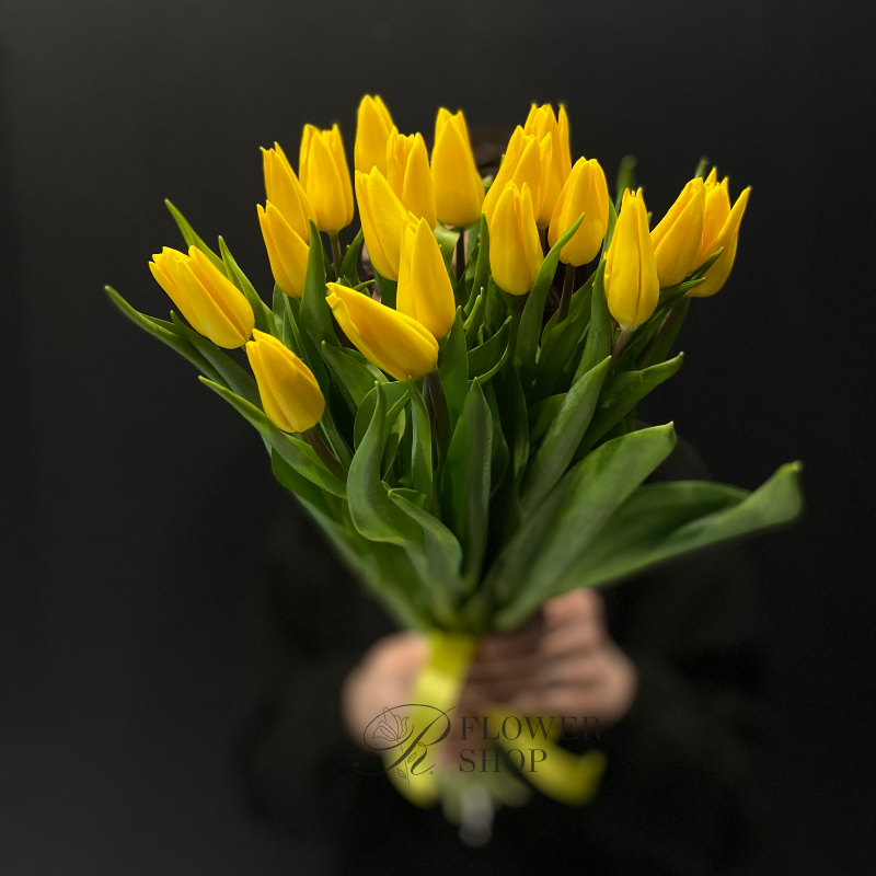 21 желтый тюльпан