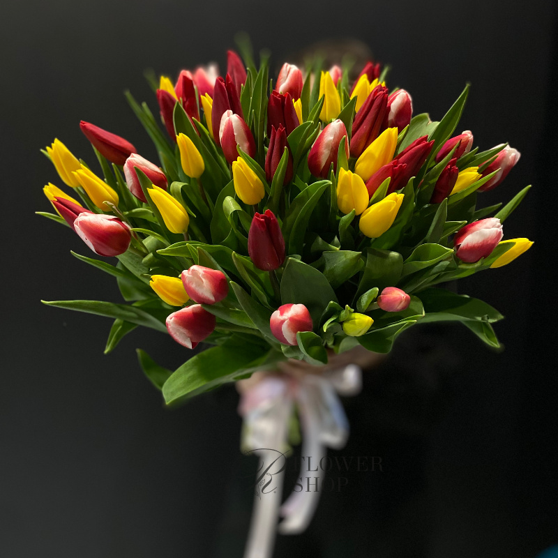 51 тюльпан микс